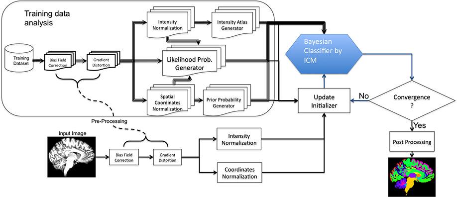 Multilateral Markov Random Field and Brain Subcortical Segmentation